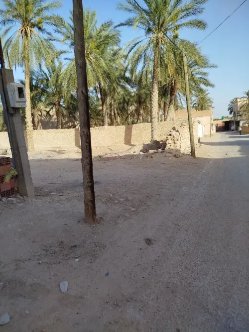 Vente Terrain Biskra Tolga
