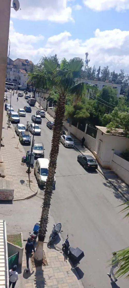 Location Appartement F3 Alger Souidania