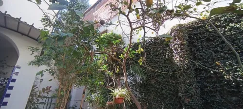 Vente Villa Alger Birkhadem