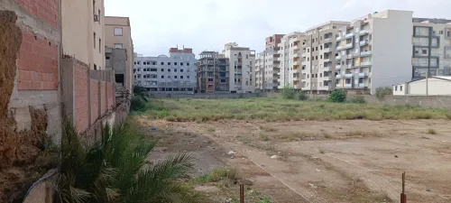 Location Terrain Alger Bordj el kiffan