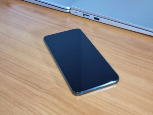 SAMSUNG Samsung Galaxy S22+ (SM-S906E/DS 256Go) 2 SIM
