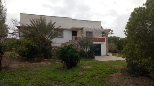 Vente Terrain Oran Bethioua