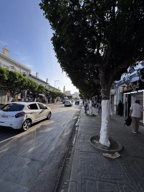 Location Local Alger El biar