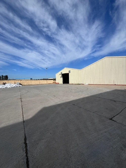 Vente Hangar Alger Les eucalyptus
