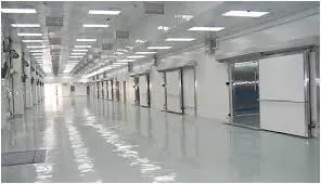 Location Hangar Alger Rouiba
