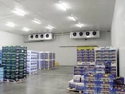 Location Hangar Alger Rouiba