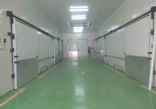 Location Hangar Alger Rouiba