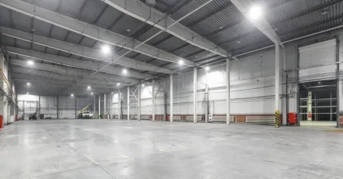 Location Hangar Alger Les eucalyptus