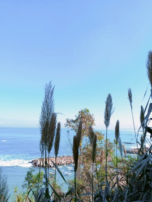 Vente Villa Alger Ain taya