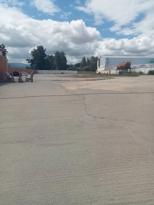 Vente Hangar - Usine Tipaza Hadjout