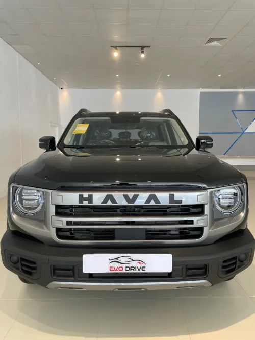 Great Wall Haval 2025 Big dog