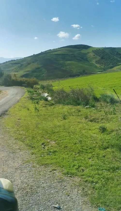 Vente Terrain Agricole Boumerdès Bordj menaiel 2