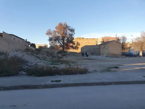 Vente Terrain Guelma Tamlouka