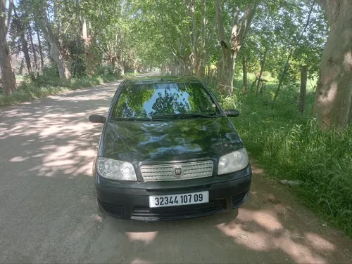 Fiat Punto 2007 Classic