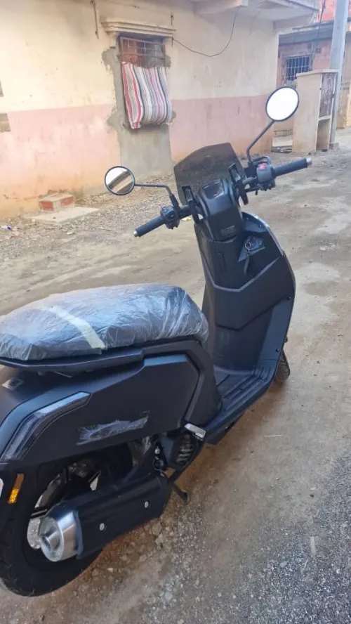 Vms Gemma 2025