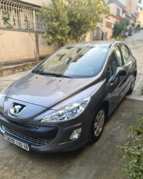 Peugeot 308 2010 Milisme