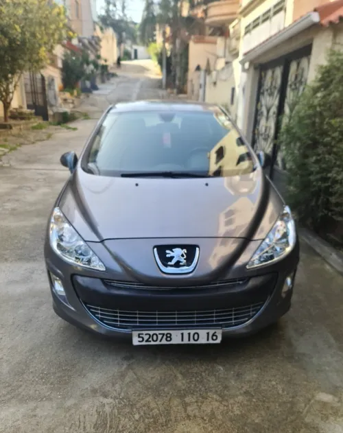 Peugeot 308 2010 Milisme
