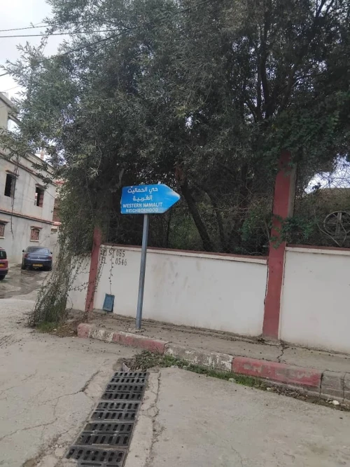 Vente Terrain Blida Chrea