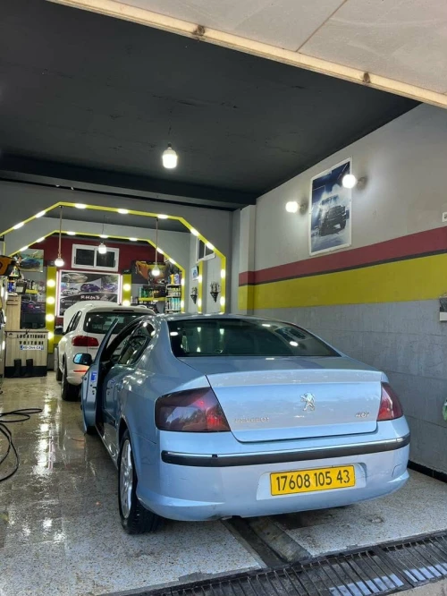 Peugeot 407 2005 