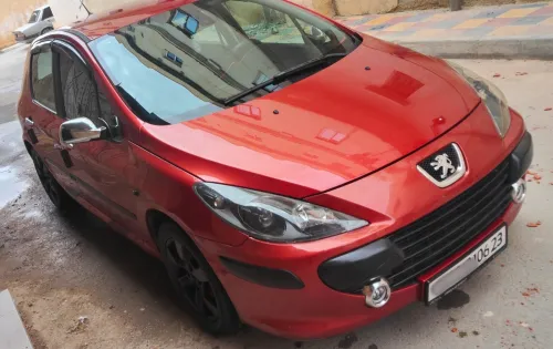 Peugeot 307 2006 Oxygo