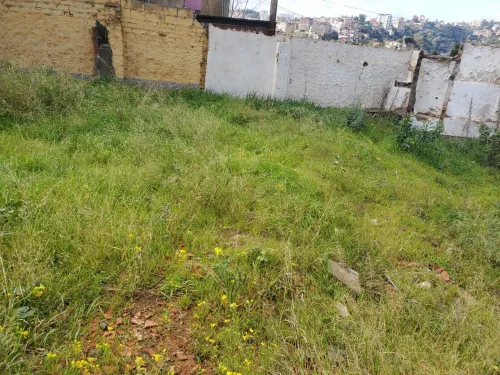 Vente Terrain Alger El biar