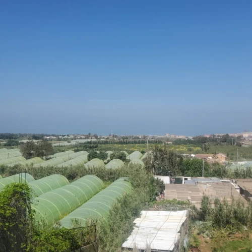 Vente Villa Alger Cheraga