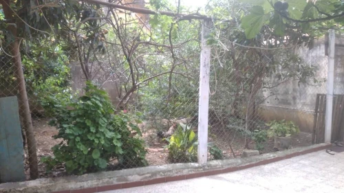 Vente Villa Alger Mahelma
