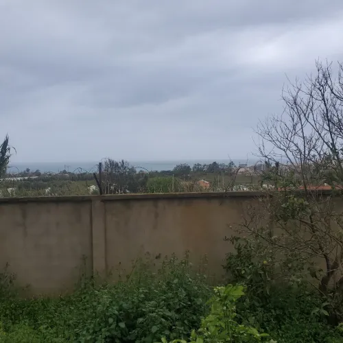 Vente Villa Alger Cheraga