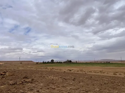 Vente Terrain Agricole Laghouat Tadjemout