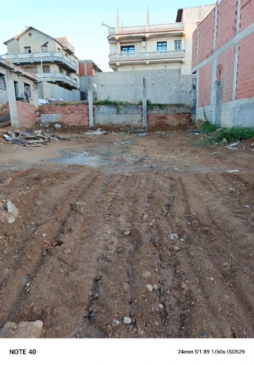 Vente Terrain Tipaza Bou haroun