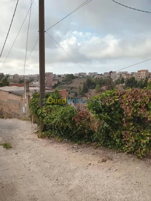 Vente Terrain Alger Bouzareah