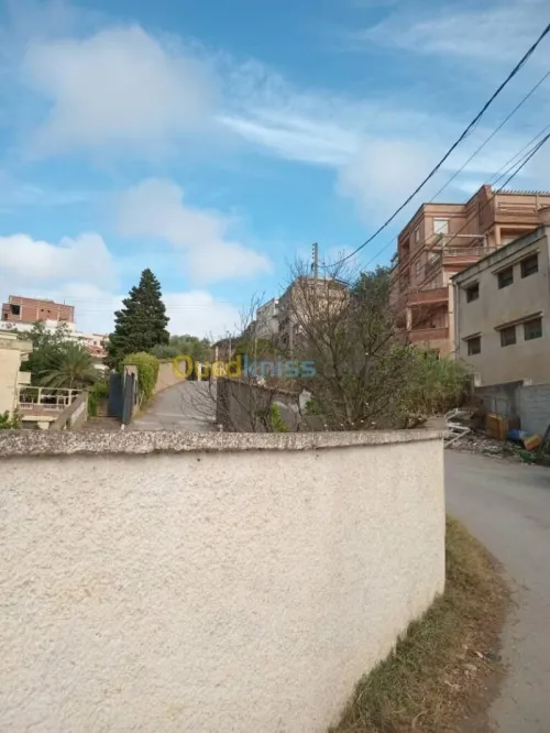 Vente Terrain Alger Bouzareah