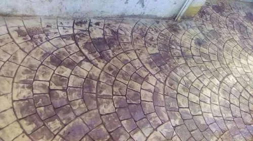  بيطون امبريمي الجزائر 