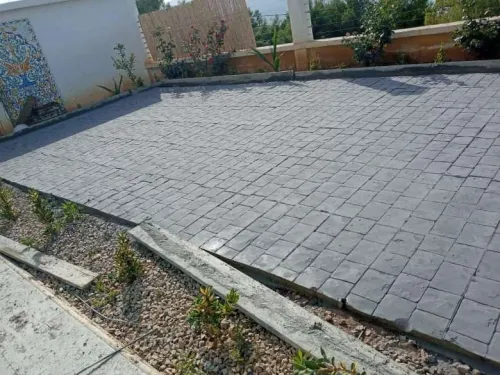  بيطون امبريمي الجزائر 