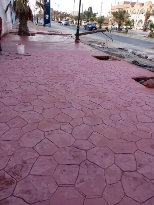  بيطون امبريمي الجزائر 