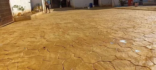  بيطون امبريمي الجزائر 
