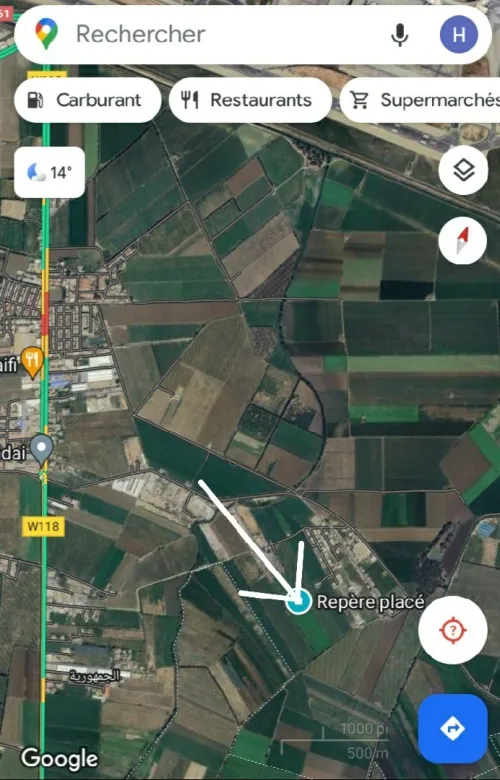 Location bien immobilier Alger Les eucalyptus