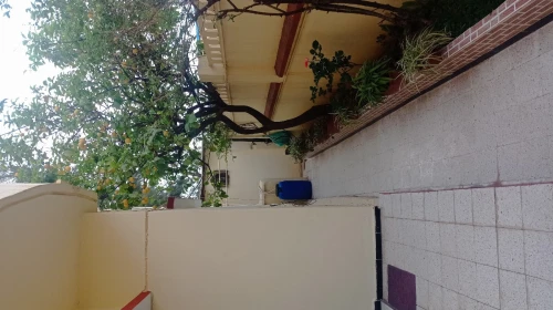 Vente Villa Blida Blida