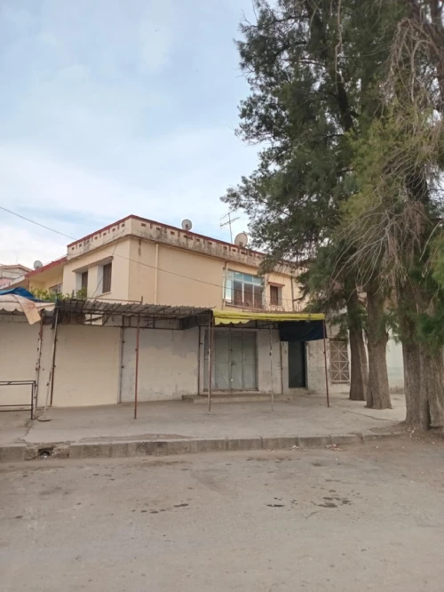 Vente Villa Blida Blida