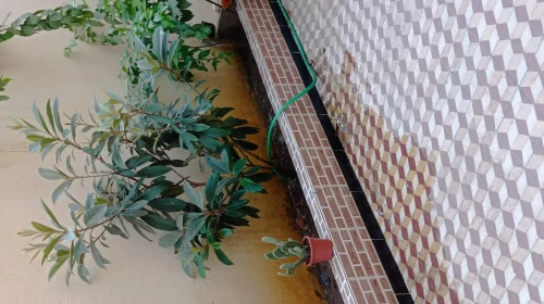 Vente Villa Blida Blida