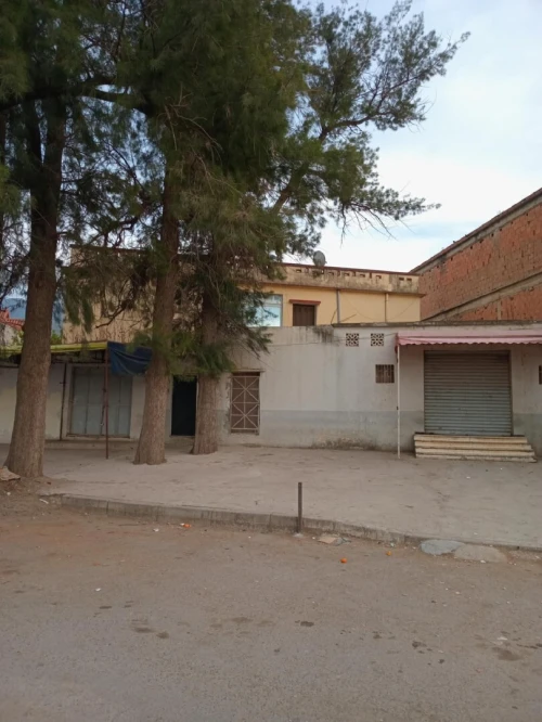 Vente Villa Blida Blida