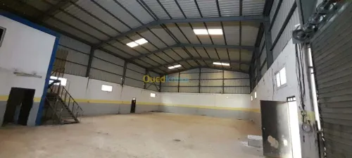 Location Hangar - Usine Boumerdès Hammedi