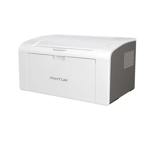 Pantum P2509 NEUVE (Sous Emballage)  Imprimante Laser Ultra-Compacte & Budget Imbattable