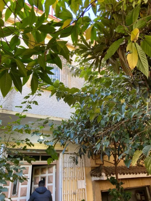 Vente Villa Blida Chiffa