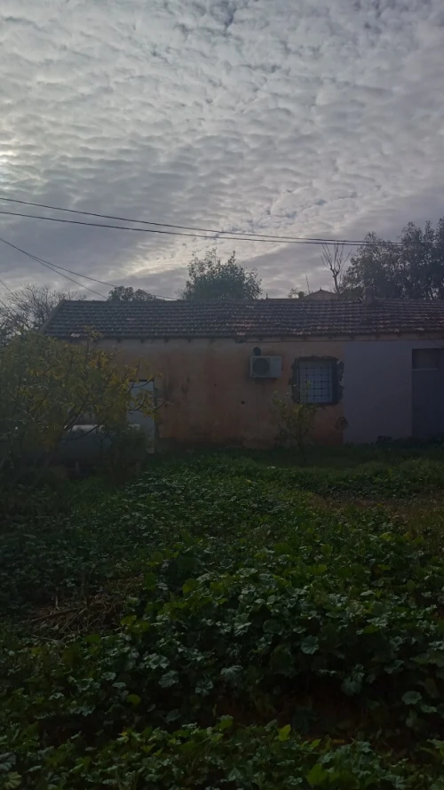Vente Villa Tiaret Mahdia