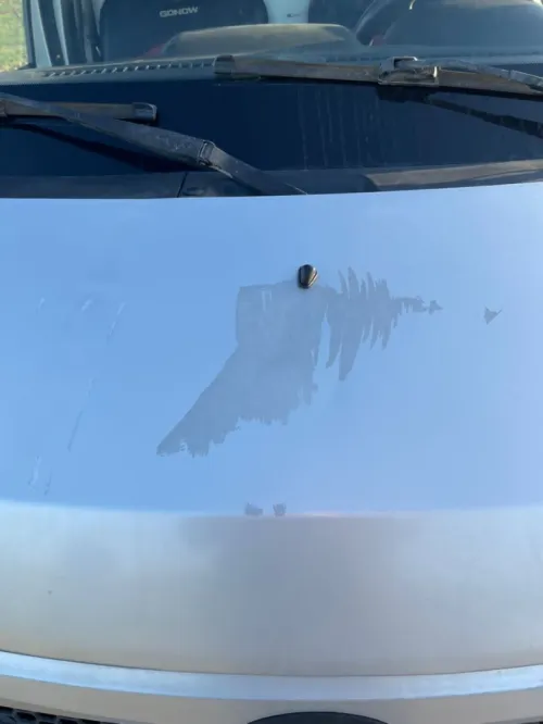 Chery Yoki 2019 Un seul cabine