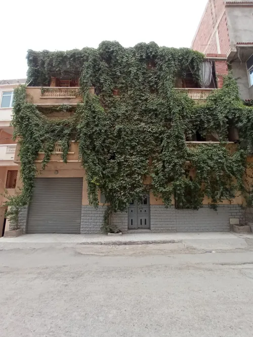 Vente Villa Sétif Setif