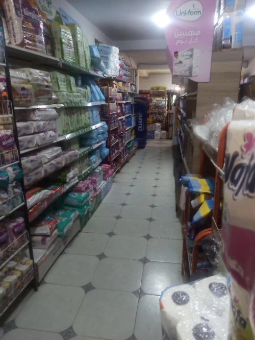 Location Local Saïda Saida