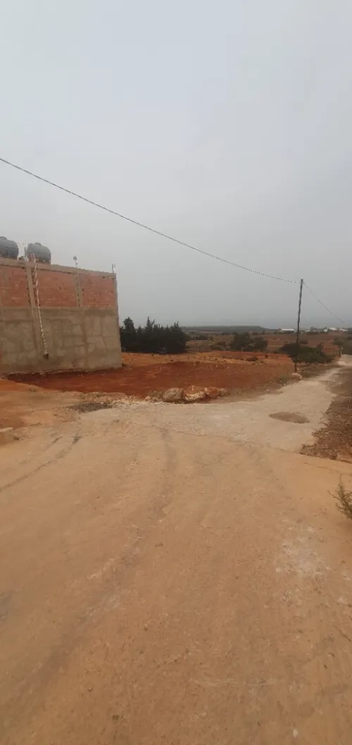 Vente Terrain Mostaganem Hadjadj