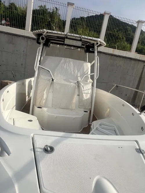 Jeanneau moteur suzuki